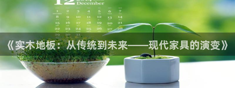 胜天国际体育2：《实木地板：从传统到未来——现代家具的演变》