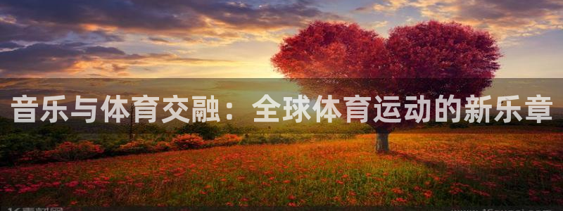 胜天国际平台招商：音乐与体育交融：全球体育运动的新乐章